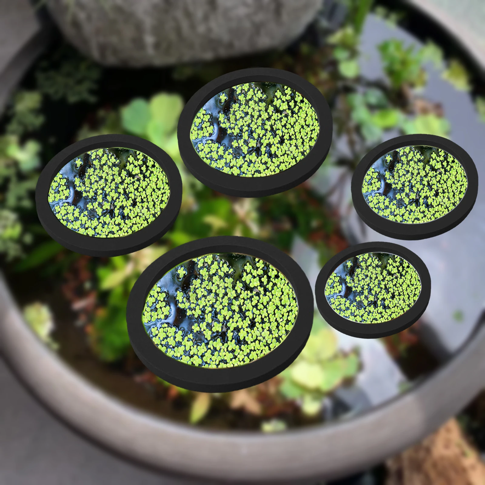 Aquarium Planted Tank - 5Pcs EVA Fisch Fütterung Ring Aquarium