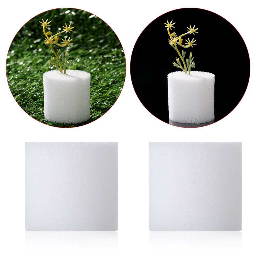 Aquarium Plant Seeds - 10/50 stücke Durable Garten Liefert Aquarium