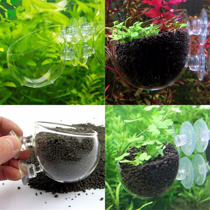 Aquarium Plant Seeds - Aquarium hängen Blumentopf Glas Zylinder Tasse