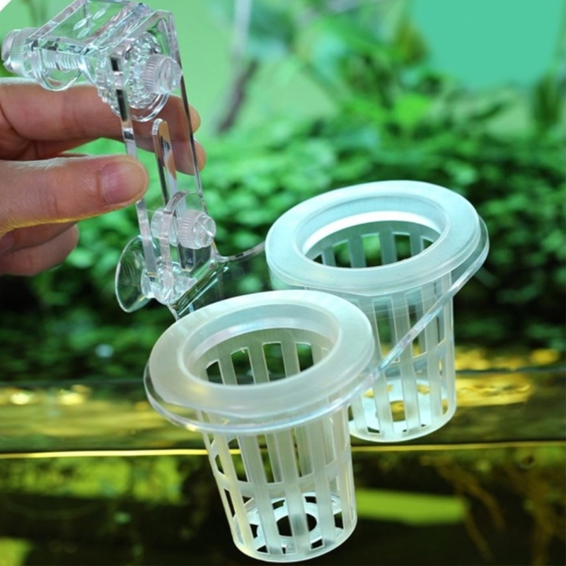 Emersed Plants Aquarium - Aquarien Pflanzenständer Pflanzenanbau mit Clip für