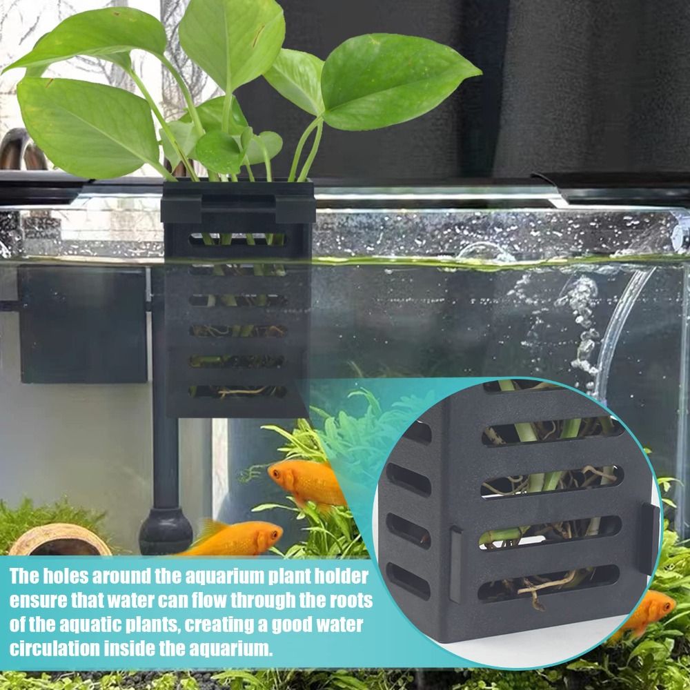 Aquarium Aquarium Pflanzen hal – Emersed Plants Aquarium Bewertung und Preis