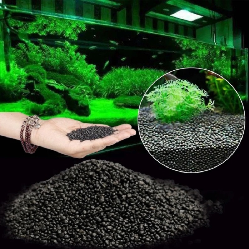 Aquarium Wasser Gras Schlamm P – Aquarium Plant Seeds Bewertung und Preis