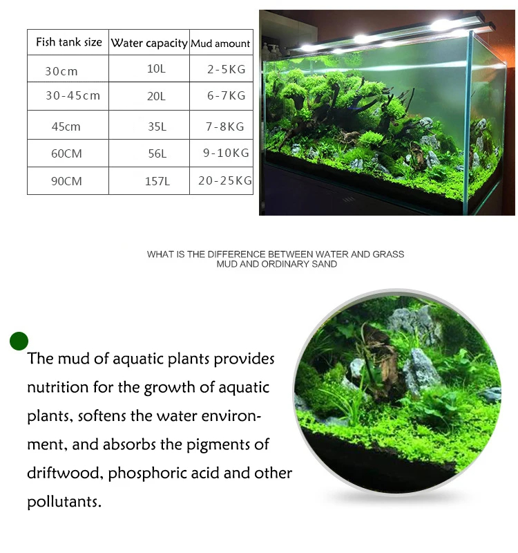 Aquarium Wasser Gras Schlamm P – Aquarium Plant Seeds Bewertung und Preis