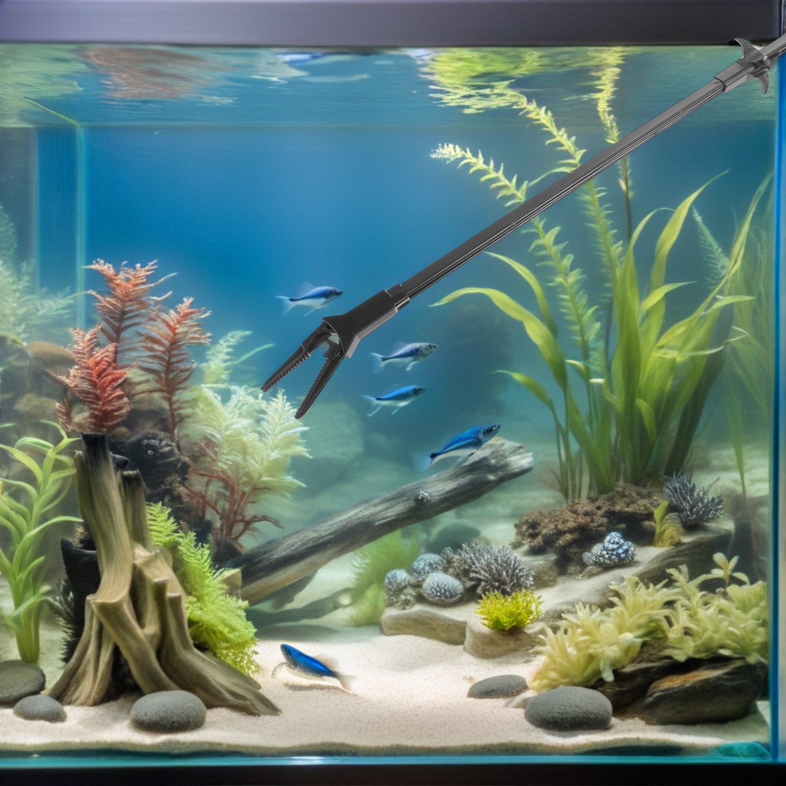 3-teiliges Aquarium-Pflanzenza – Planted Aquarium Tips Bewertung und Preis