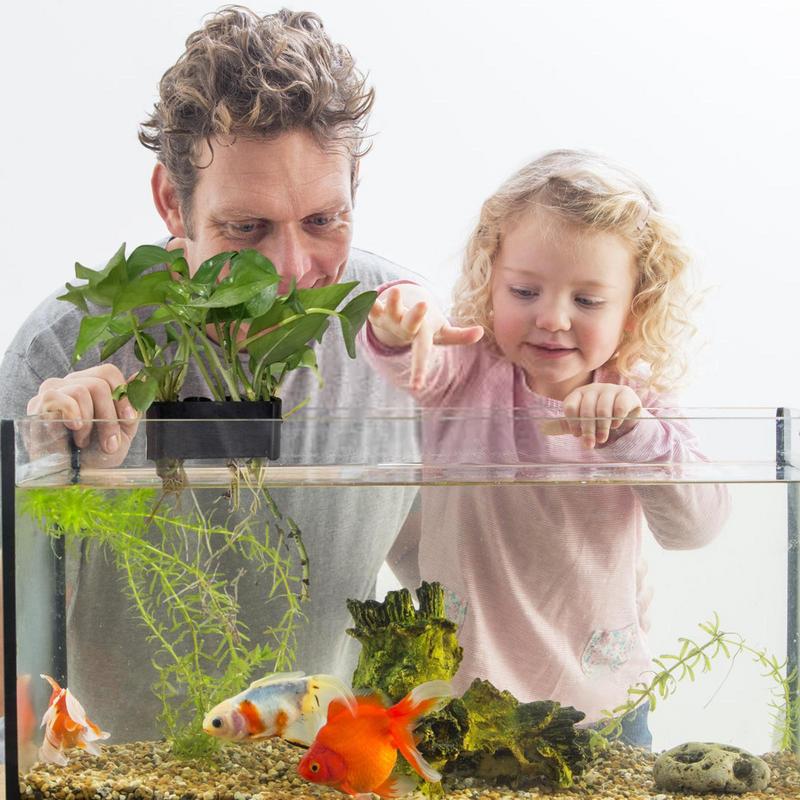 Hängender Aquarium Pflanzen ha – Emersed Plants Aquarium Bewertung und Preis