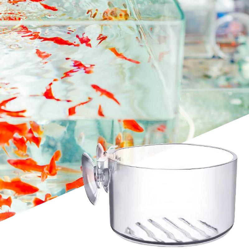 Aquarium-Pflanztopf, Glaszylin – Aquarium Plant Seeds Bewertung und Preis