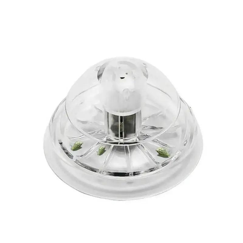 2026 Neu 6/8CM Klare Plastik-S – Aquarium Planted Tank Bewertung und Preis