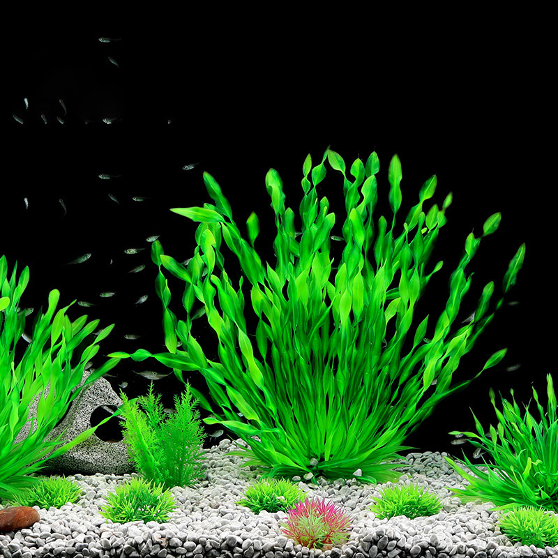 13/23/32/36/40cm Aquarium Küns – Aquarium Plant Seeds Bewertung und Preis