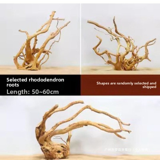 Natürliche Treibholzäste für d – Aquarium Planted Tank Bewertung und Preis