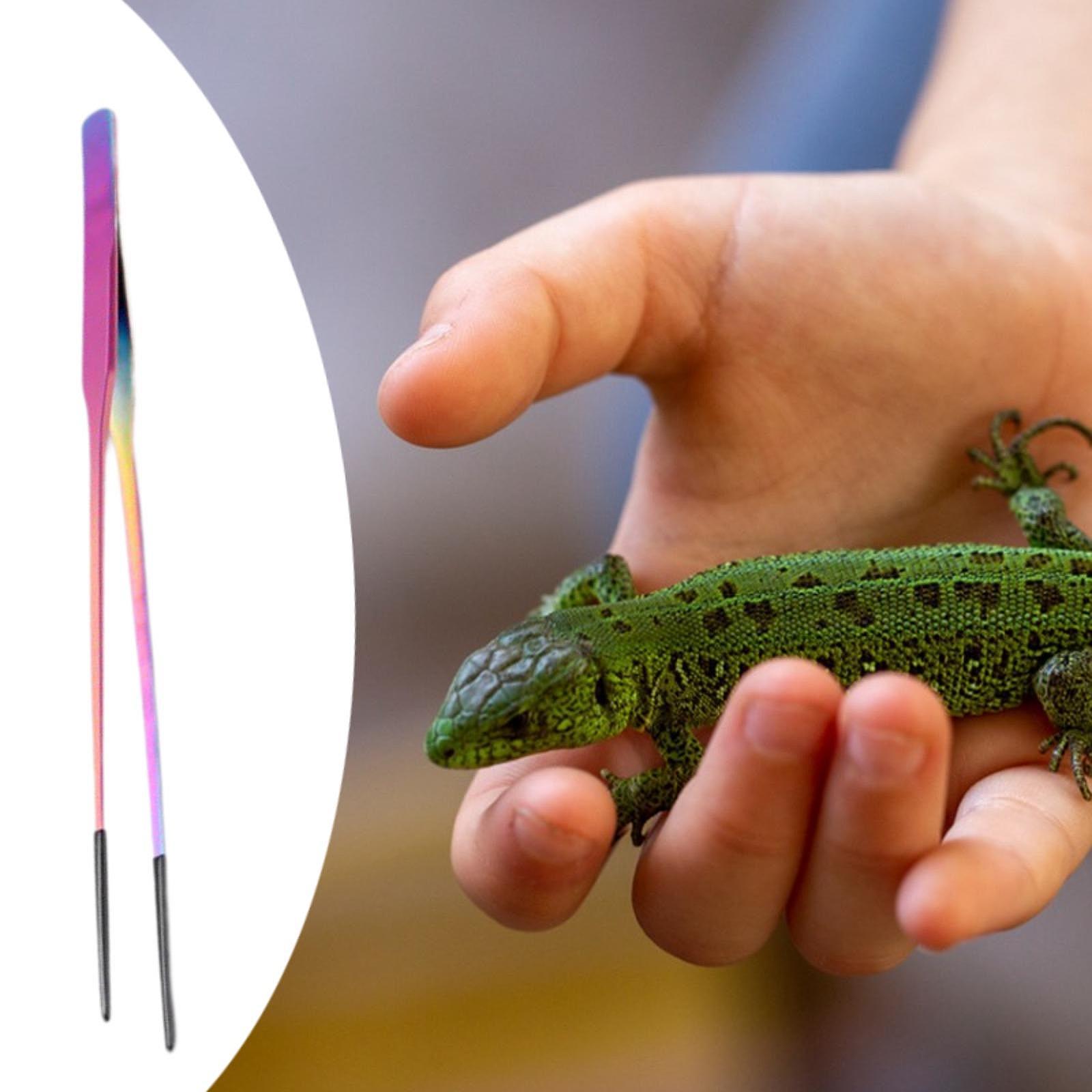 Reptilien-Fütterungszange mit  – Planted Aquarium Tips Bewertung und Preis