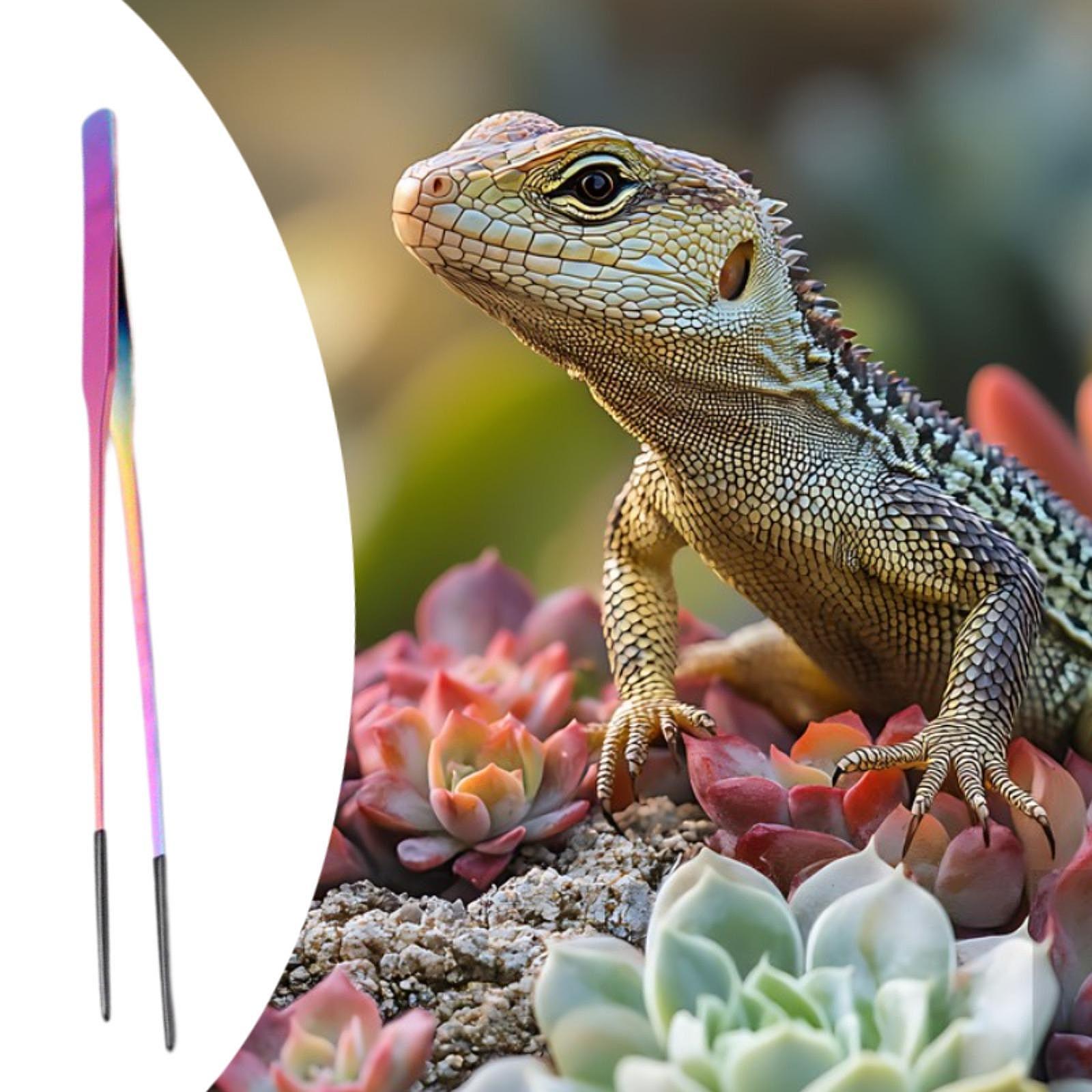 Reptilien-Fütterungszange mit  – Planted Aquarium Tips Bewertung und Preis