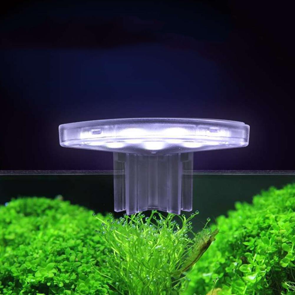 LED-Pflanzen-Wachstumslampe, e – Aquarium Plant Easy To Grow Bewertung und Preis