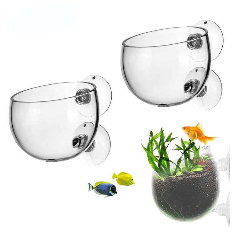 Neue Aquarium Blumentopf Glas  – Aquarium Plant Seeds Bewertung und Preis