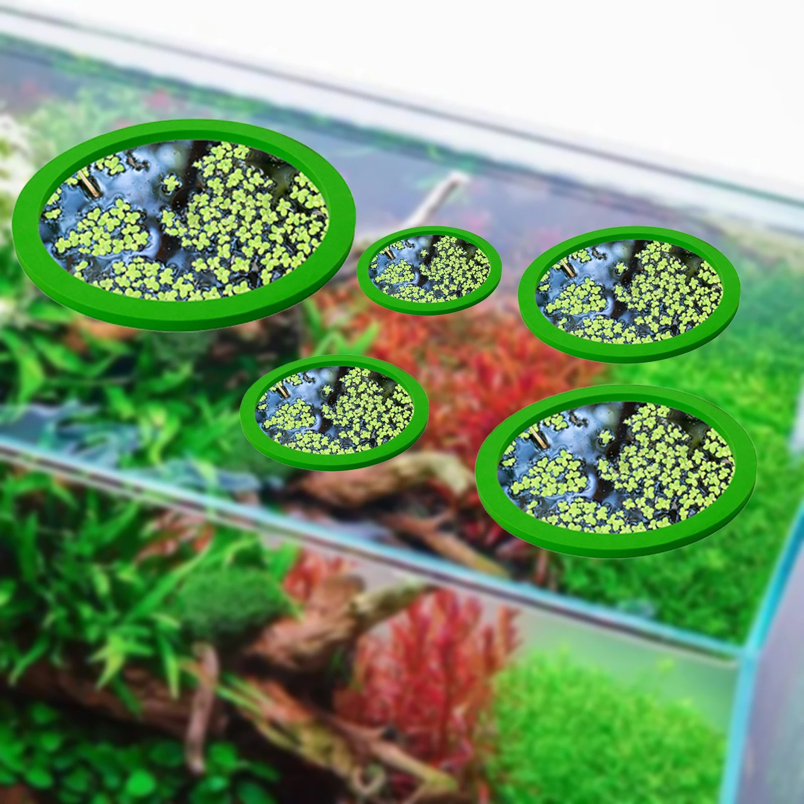 5Pcs EVA Fisch Fütterung Ring  – Aquarium Planted Tank Bewertung und Preis