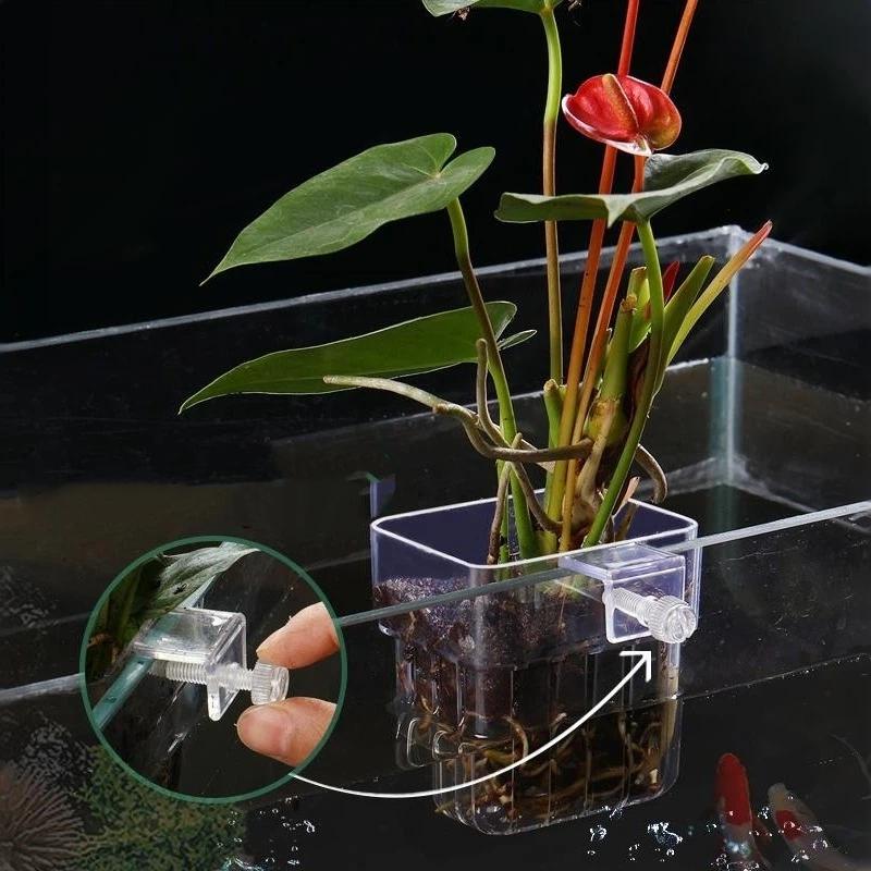 Transparenter, aufhängbarer Aq – Aquarium Plant Easy To Grow Bewertung und Preis