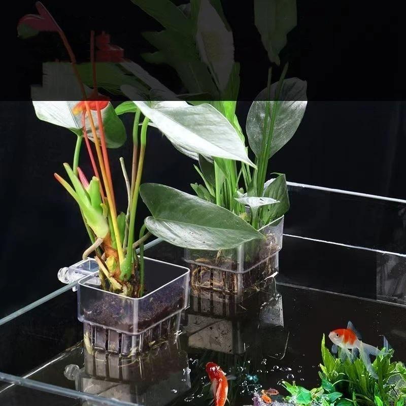Transparenter, aufhängbarer Aq – Aquarium Plant Easy To Grow Bewertung und Preis