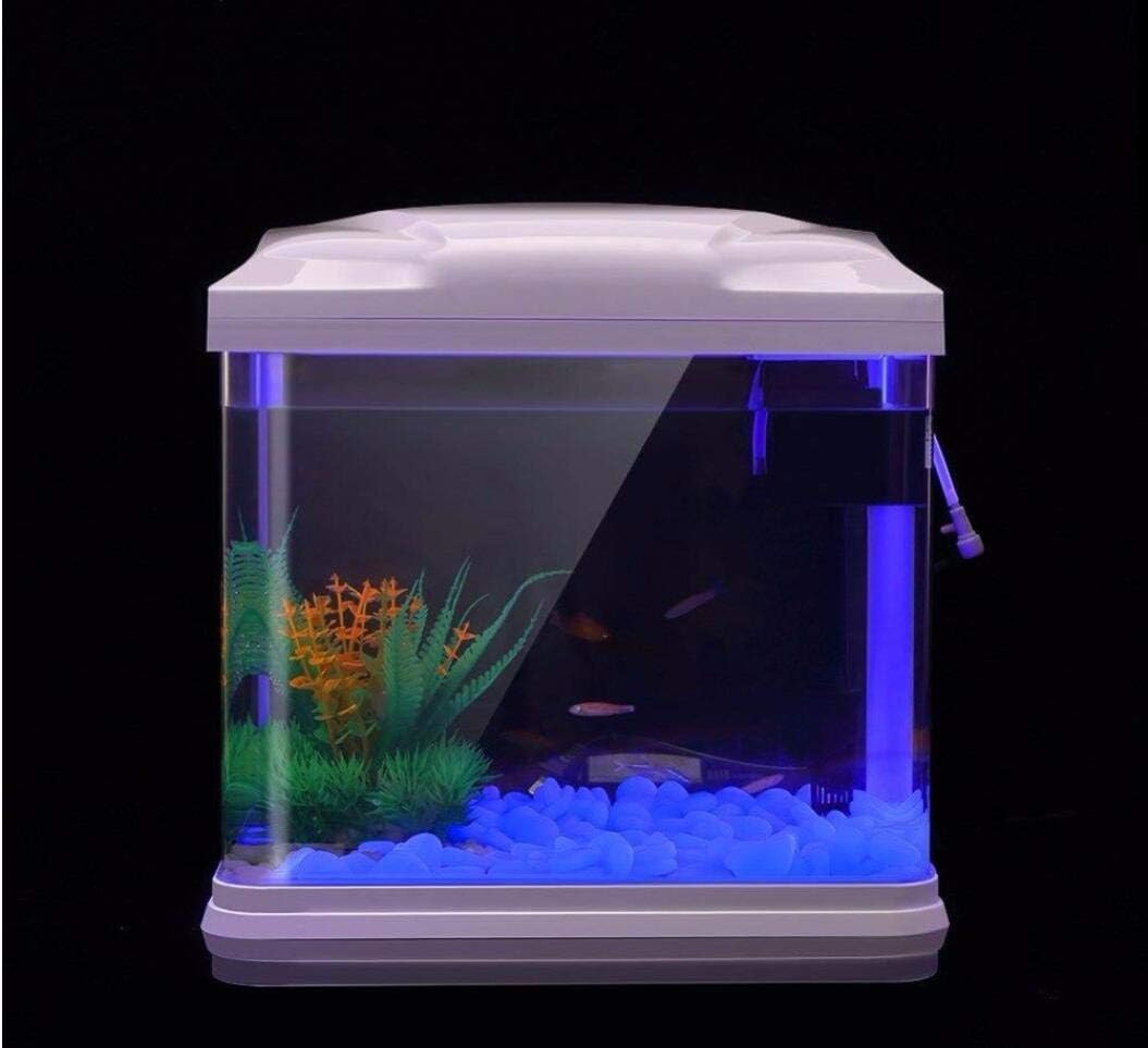 Aquarium-Felsen leuchten blaue – Aquarium Planted Tank Bewertung und Preis