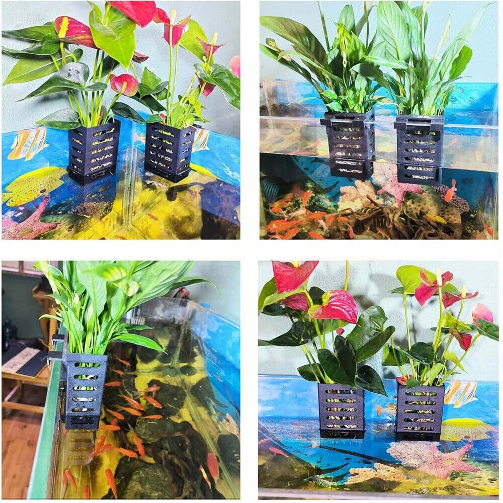 Aquarien-Pflanzenhalter für Wa – Emersed Plants Aquarium Bewertung und Preis
