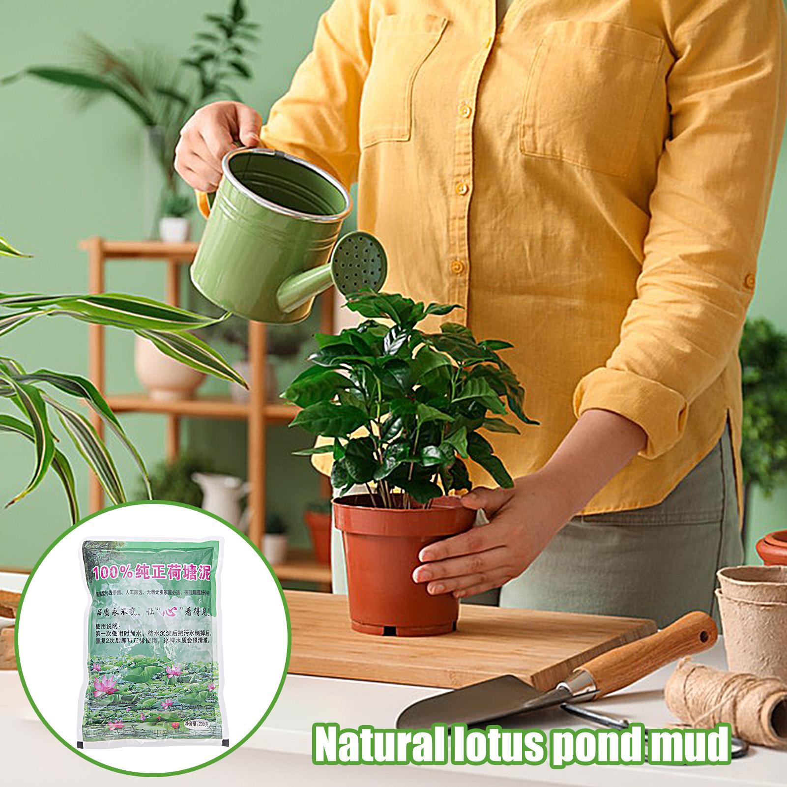 200g/Beutel Aquarium-Erde Natü – Aquarium Plant Seeds Bewertung und Preis