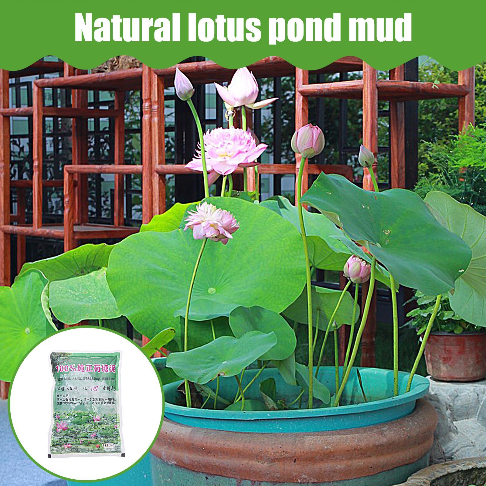 200g/Beutel Aquarium-Erde Natü – Aquarium Plant Seeds Bewertung und Preis