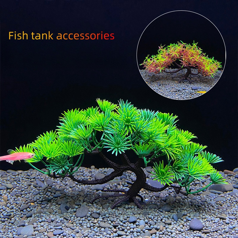 Aquarium-Bonsai-Baum, Pflanze, – Aquarium Plant Seeds Bewertung und Preis