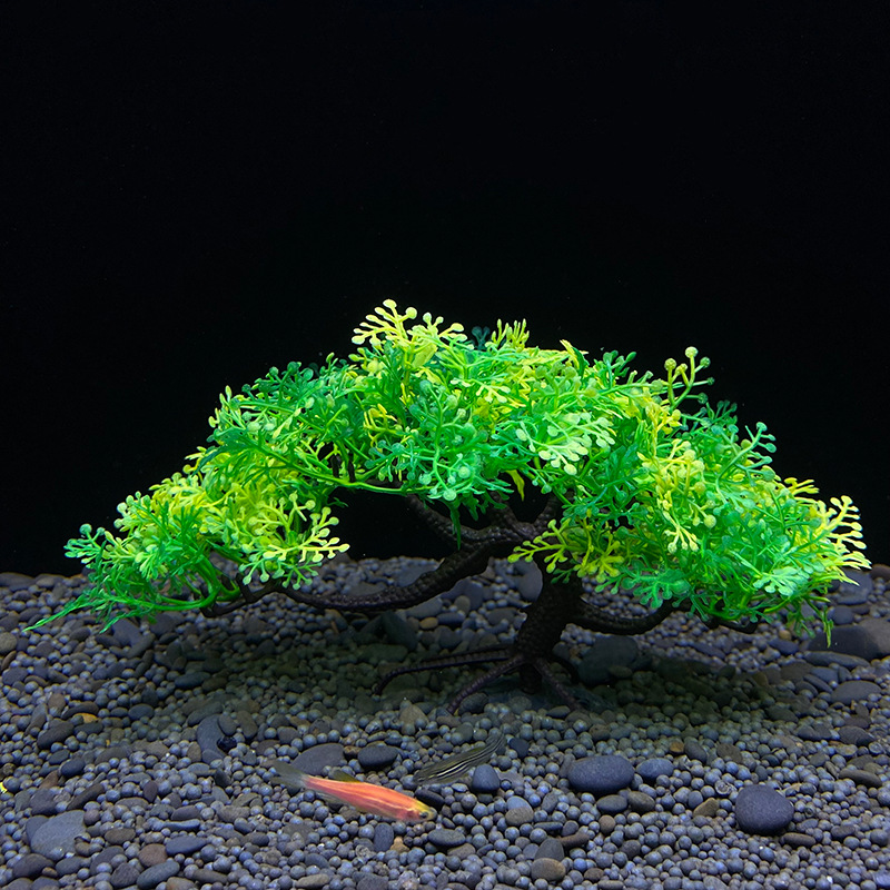 Aquarium-Bonsai-Baum, Pflanze, – Aquarium Plant Seeds Bewertung und Preis