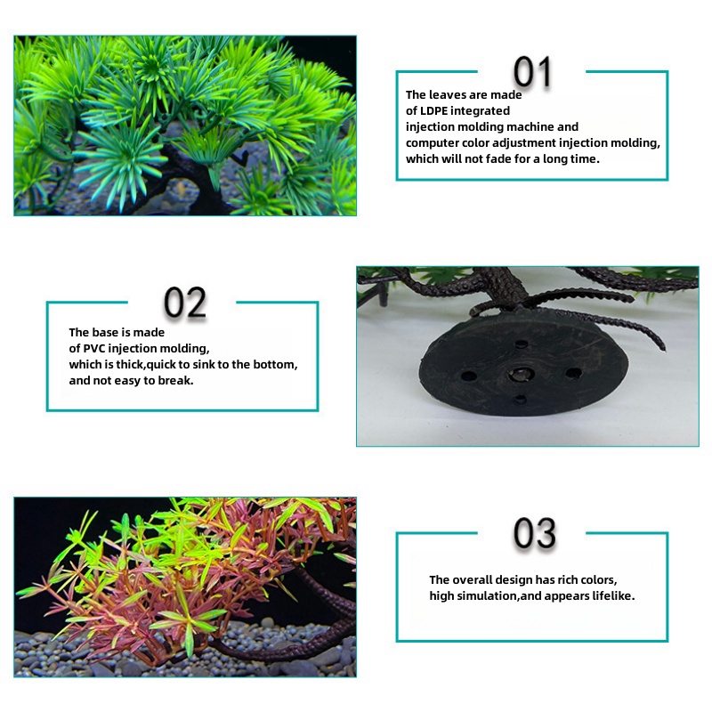 Aquarium-Bonsai-Baum, Pflanze, – Aquarium Plant Seeds Bewertung und Preis