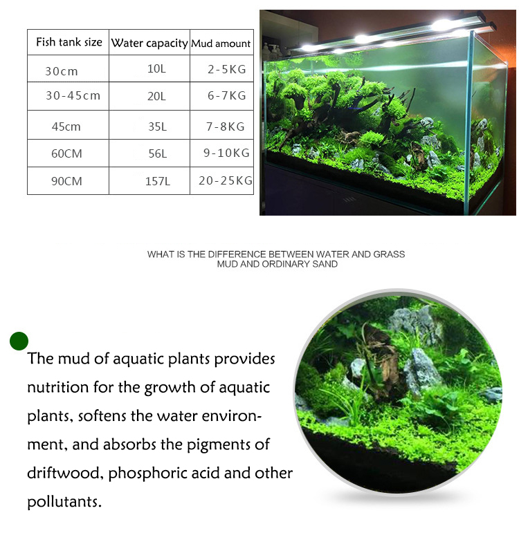 Aquarium Pflanzen Samen Boden  – Aquarium Planted Tank Bewertung und Preis