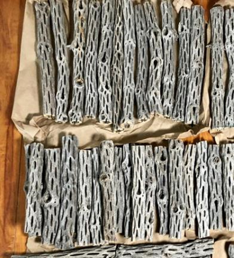 Bio/natürliches Aquarium Choll – Aquarium Plant Seeds Bewertung und Preis