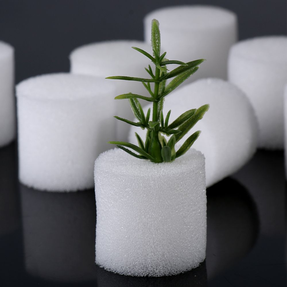 10/50 stücke Durable Garten Li – Aquarium Plant Seeds Bewertung und Preis