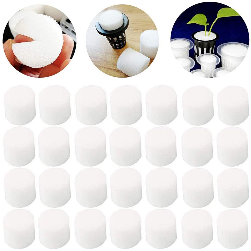 10/50 stücke Durable Garten Li – Aquarium Plant Seeds Bewertung und Preis