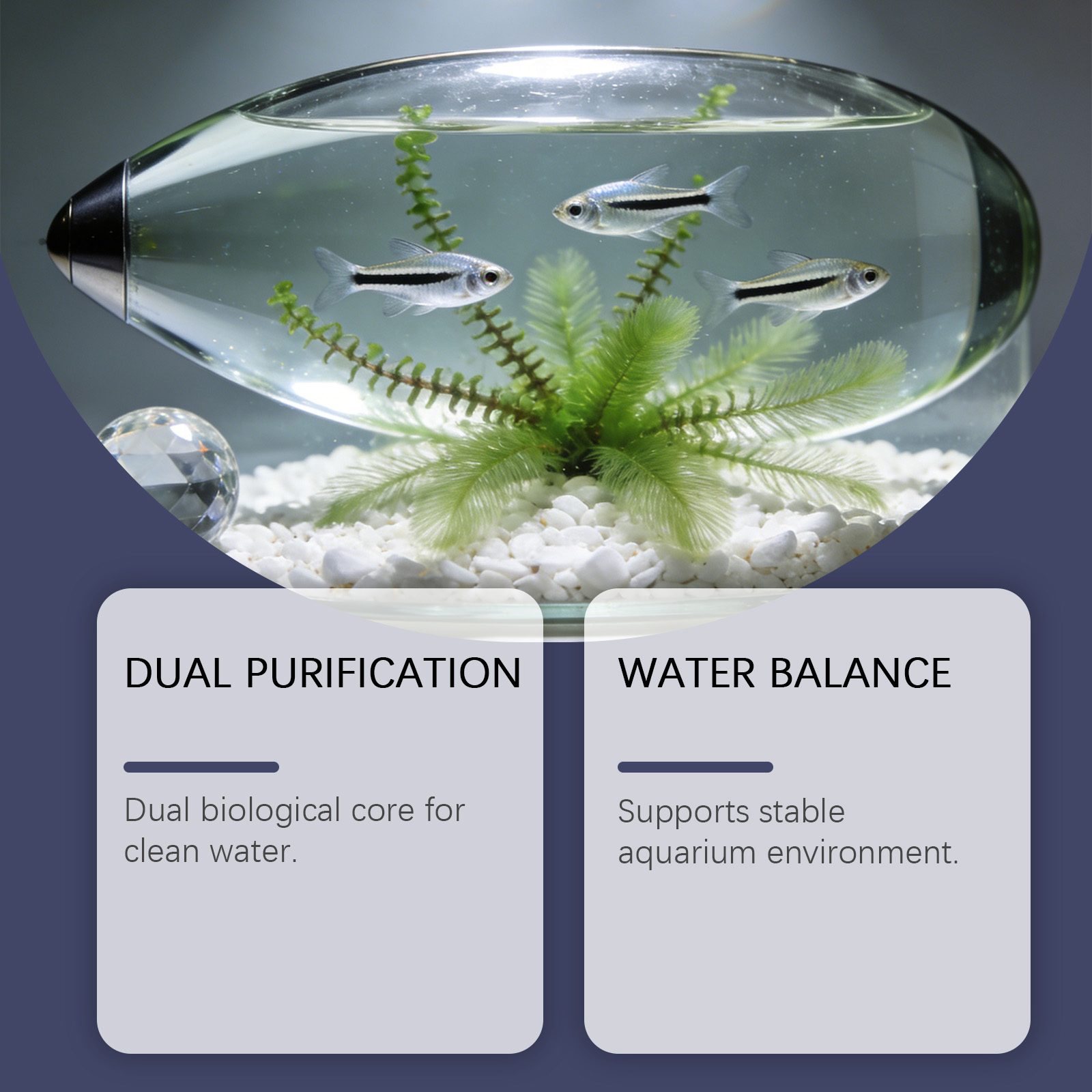 Algenentferner-Tabletten für A – Planted Aquarium Cloudy Water Bewertung und Preis