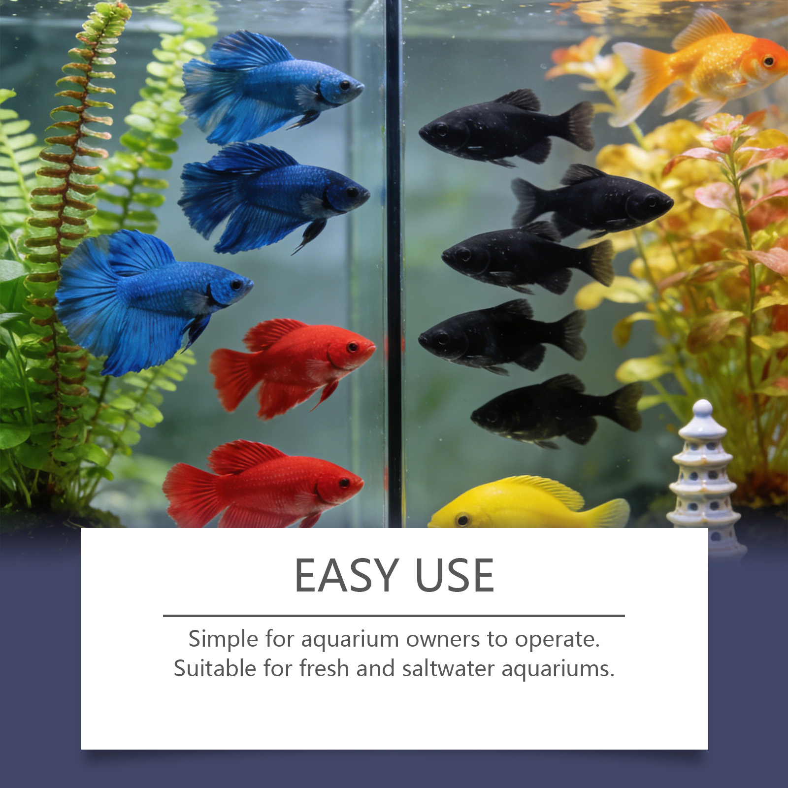 Algenentferner-Tabletten für A – Planted Aquarium Cloudy Water Bewertung und Preis