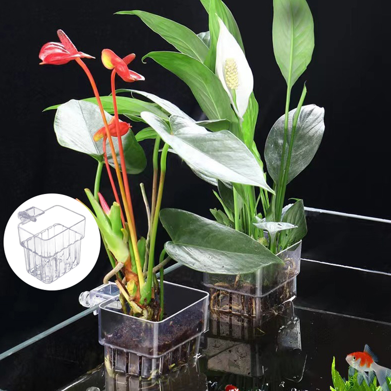 Multifunktion ale Fisch Aquari – Aquarium Planted Tank Bewertung und Preis