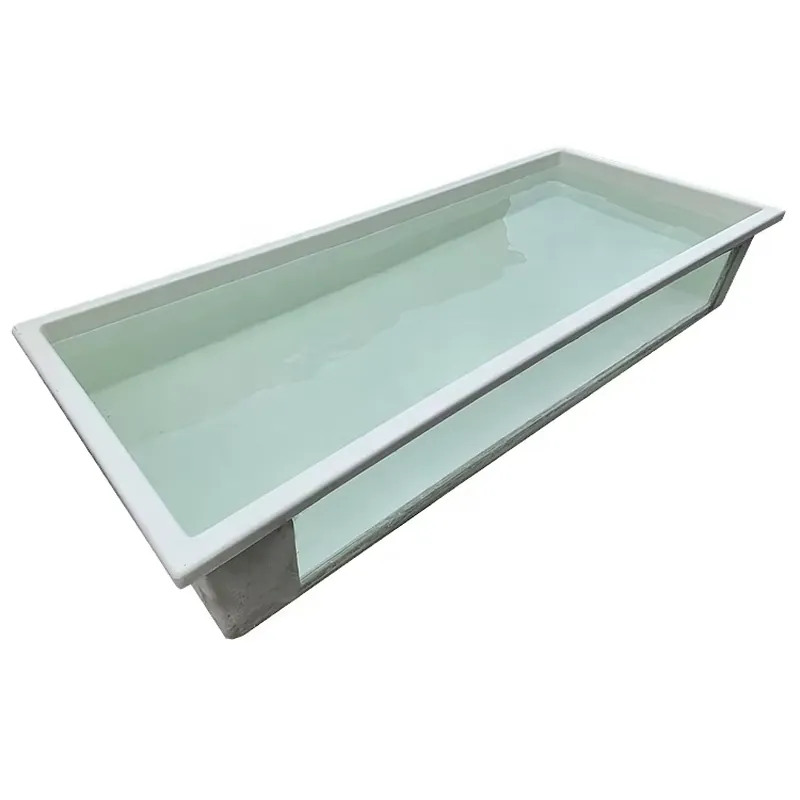 Lebende Pflanzen für Aquarien  – Aquarium Plant Seeds Bewertung und Preis