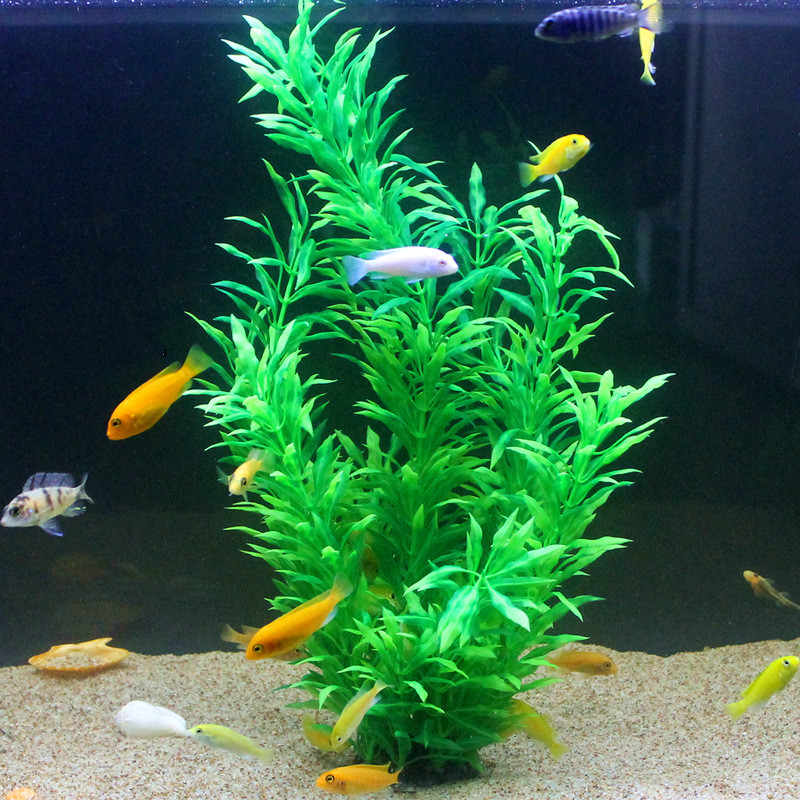 50CM Künstliche Aquarium Selte – Aquarium Planted Tank Bewertung und Preis