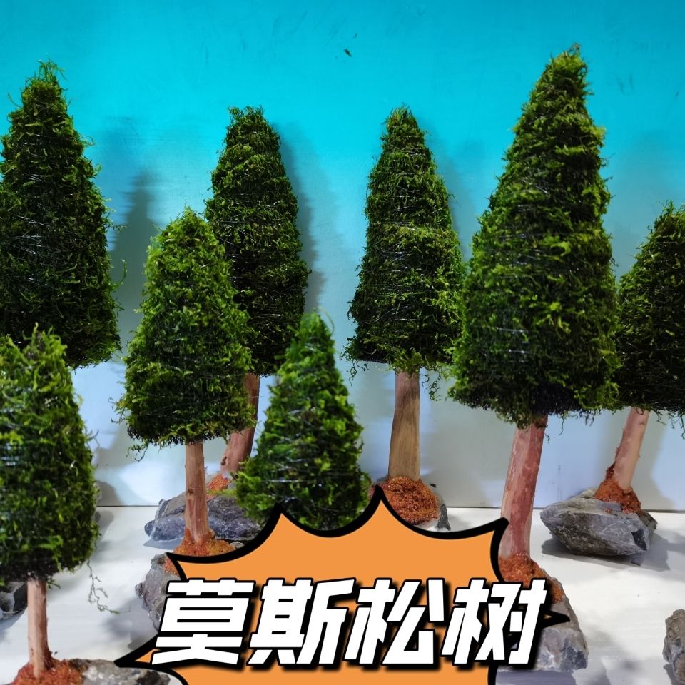 Aquarium Dekoration Aquatische – Aquarium Plant Seeds Bewertung und Preis