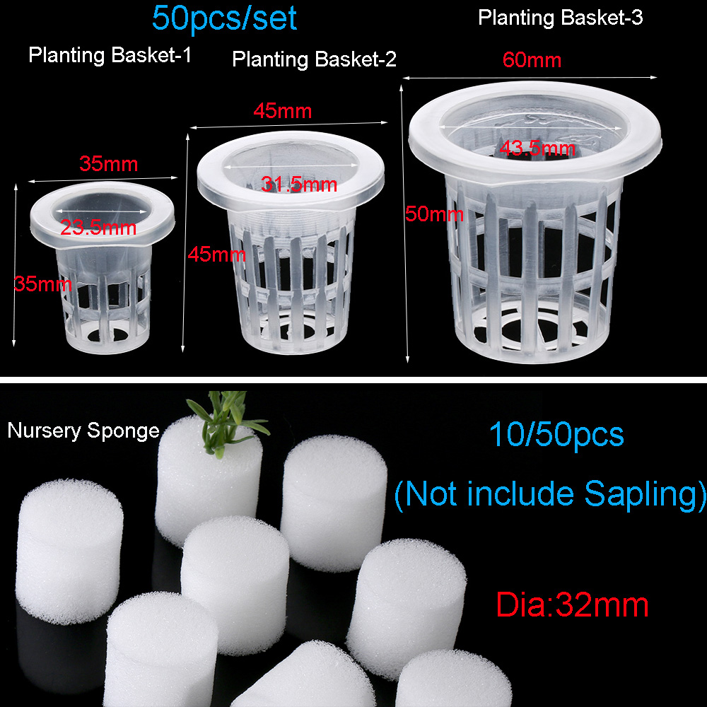 10/50 stücke Langlebige Pflanz – Aquarium Plant Seeds Bewertung und Preis