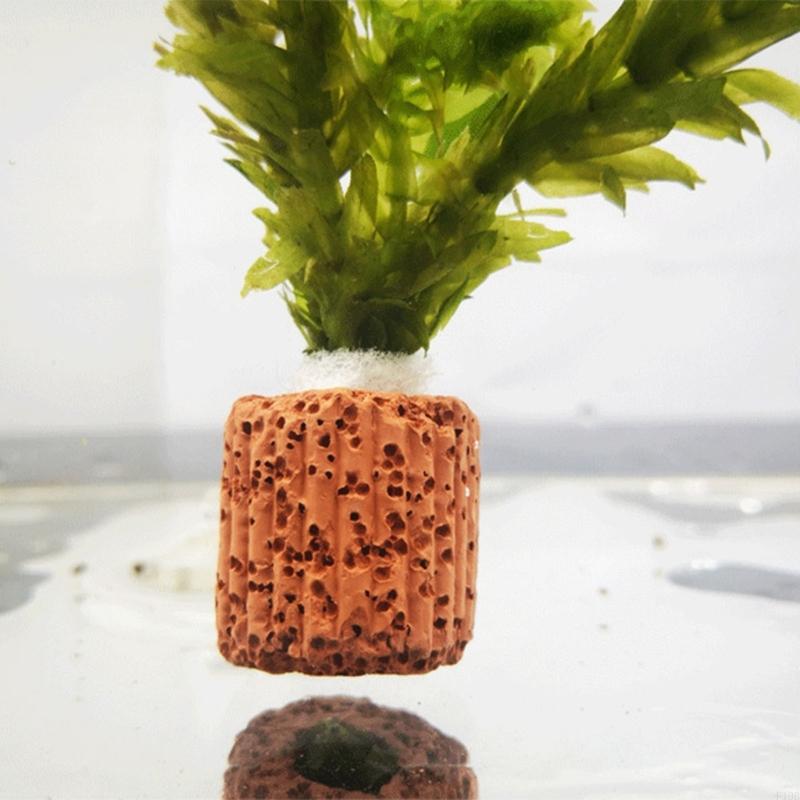 F19B Aquarium-Pflanzenhalter,  – Emersed Plants Aquarium Bewertung und Preis