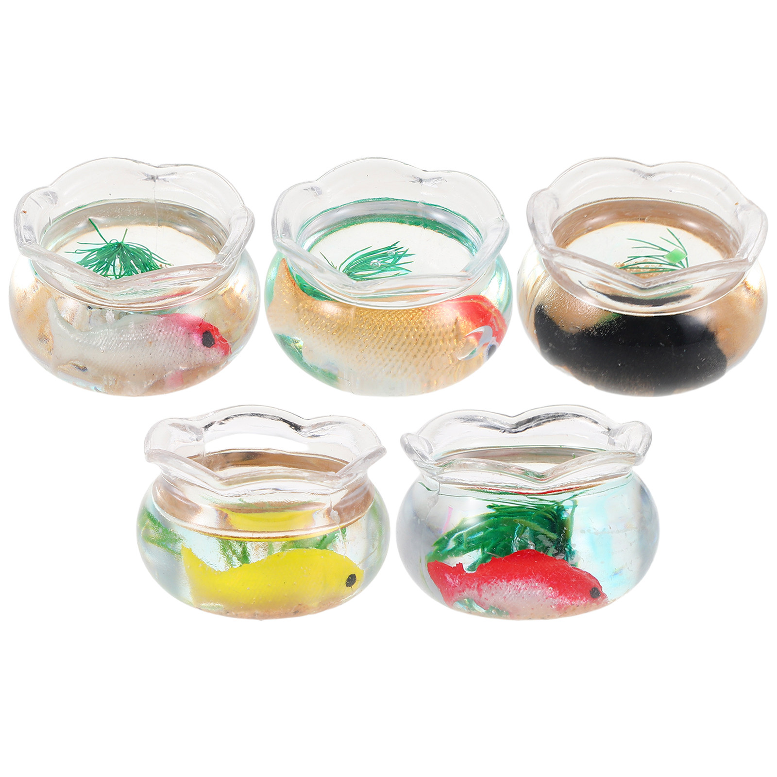 5 Stück Miniatur-Fischbecken,  – Aquarium Planted Tank Bewertung und Preis